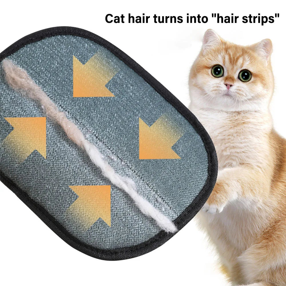 Cat hair removal pad with cat hair and a cat looking at it