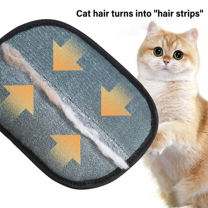 Cat hair removal pad with cat hair and a cat looking at it